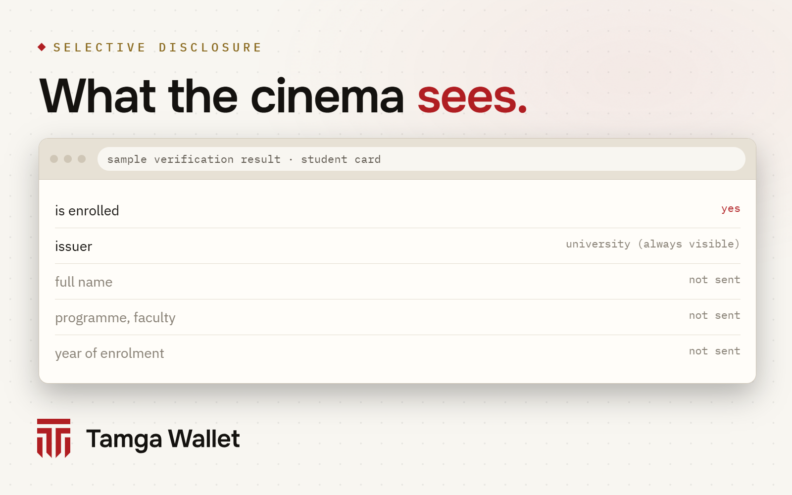 What the cinema sees