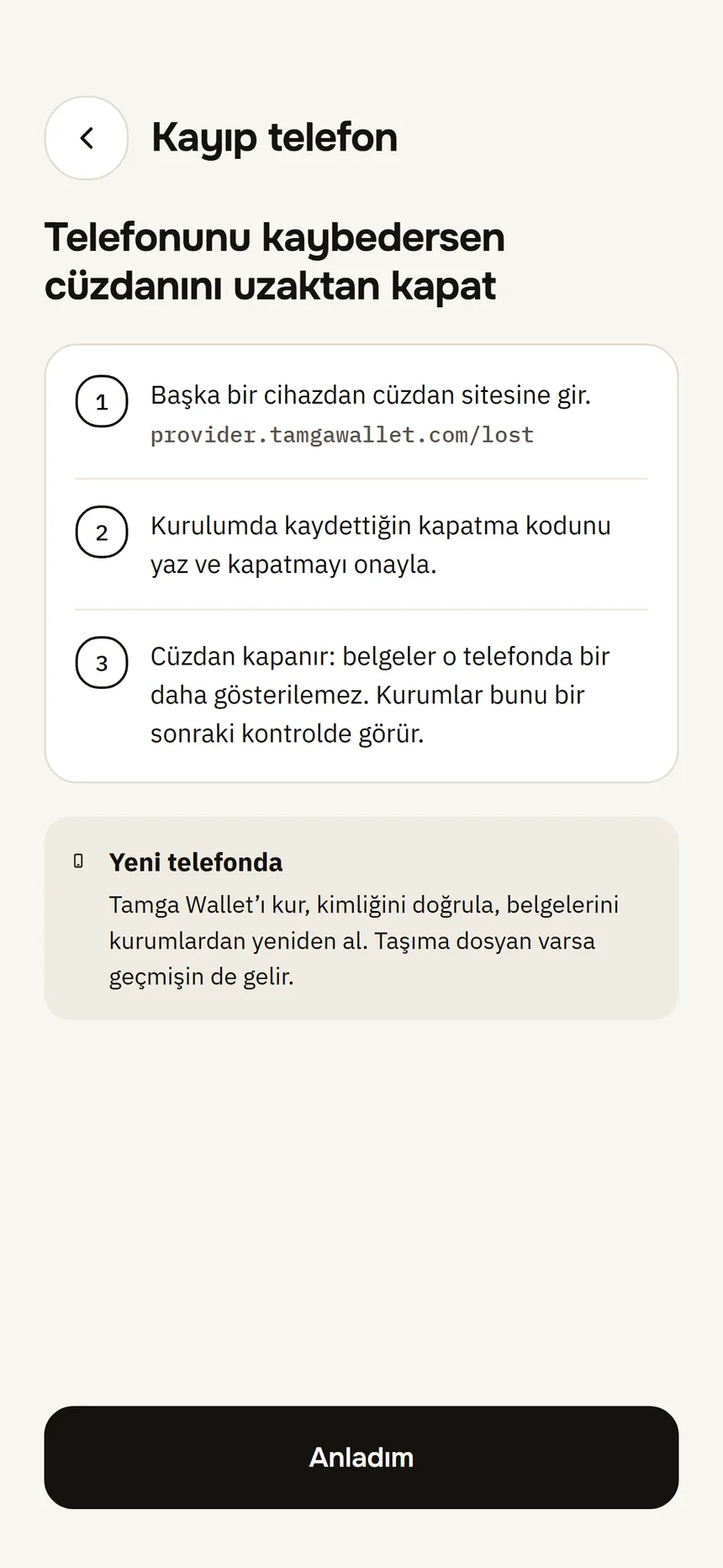 Lost phone screen: the three steps for closing the wallet remotely from another device.